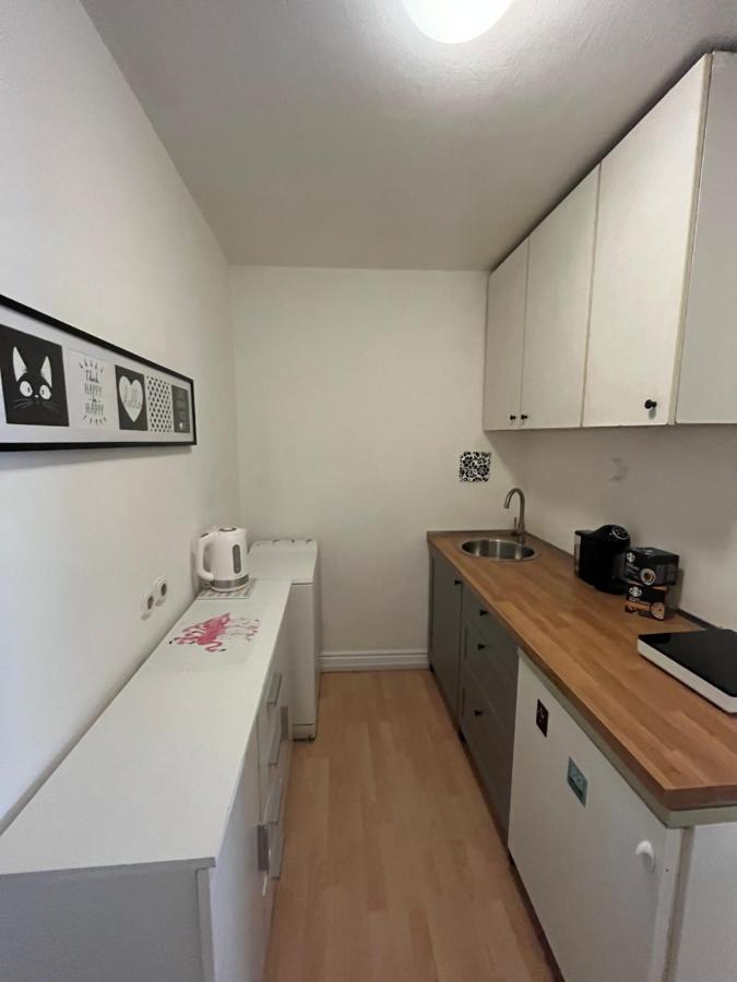Apartment Flamingo Любляна Екстер'єр фото